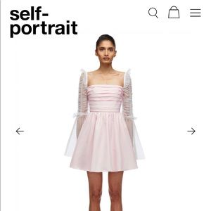 Self-Portrait Taffeta Dot Mesh Mini Dress